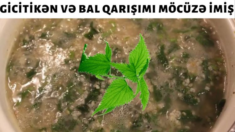 Şok - Gicitikən və bal xərçəng xəstəliyini belə sağaldırmış