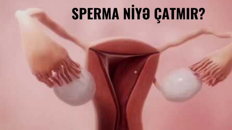 Sperma uşaqlığa niyə gedib çatmır? - Qadın sonsuzluğu